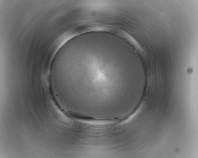 X0000095121178200712071233