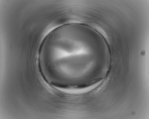 X0000095121179200712071233