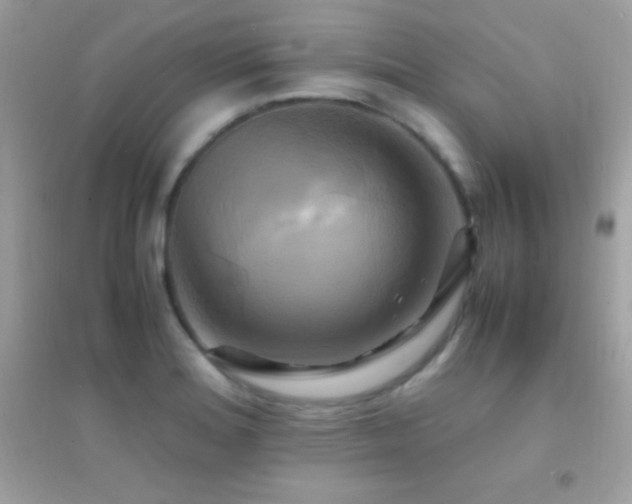 X0000095121180200712071233