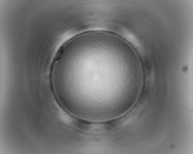 X0000095121181200712071233
