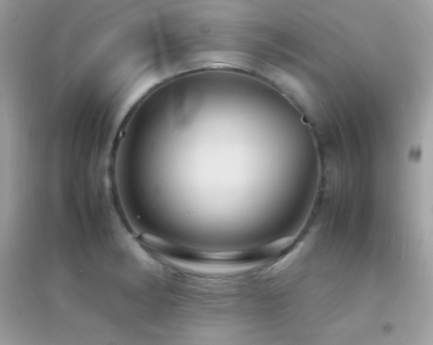 X0000095121182200712071233