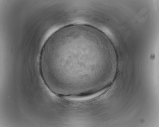 X0000095121183200712071233