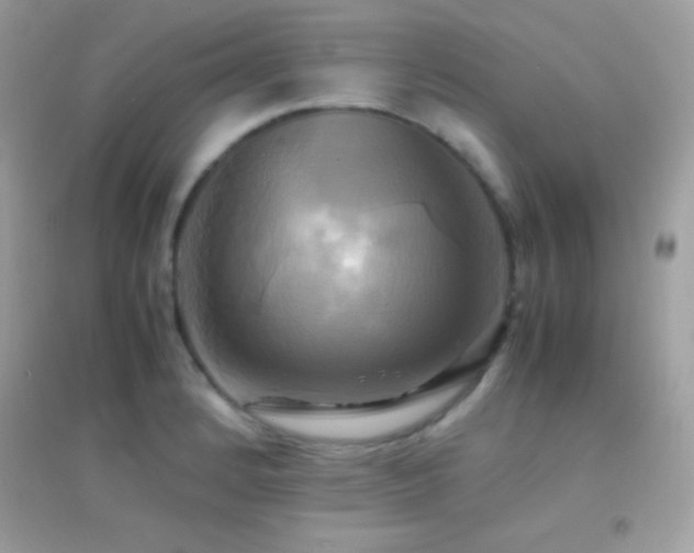 X0000095121184200712071233