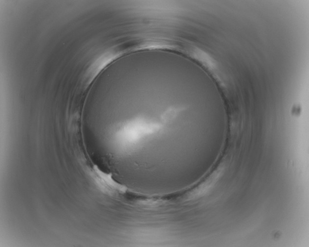 X0000095121185200712071233