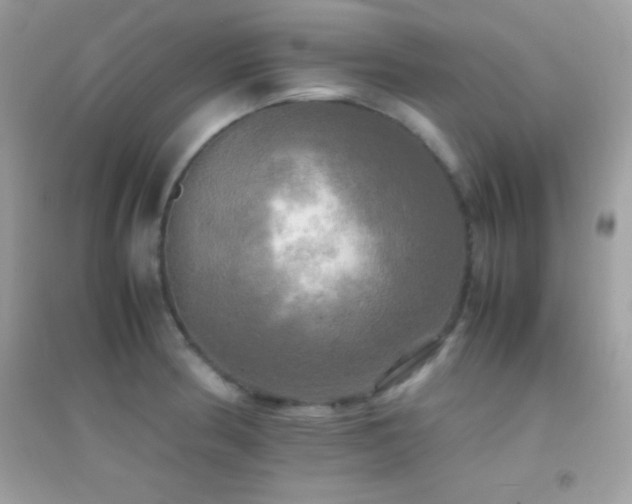 X0000095121186200712071233