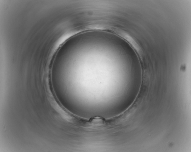 X0000095121187200712071233