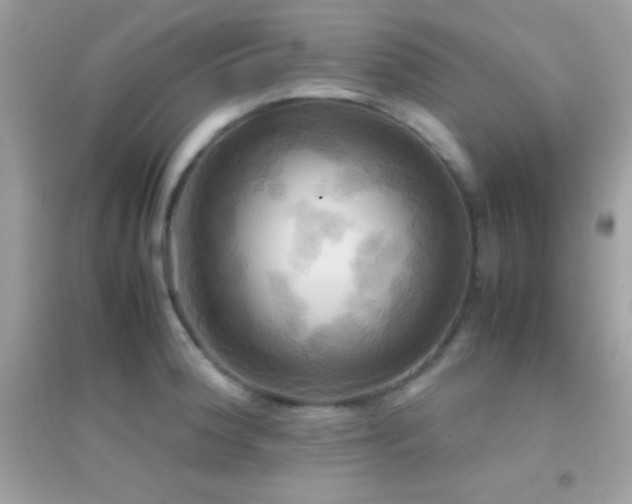 X0000095121188200712071233