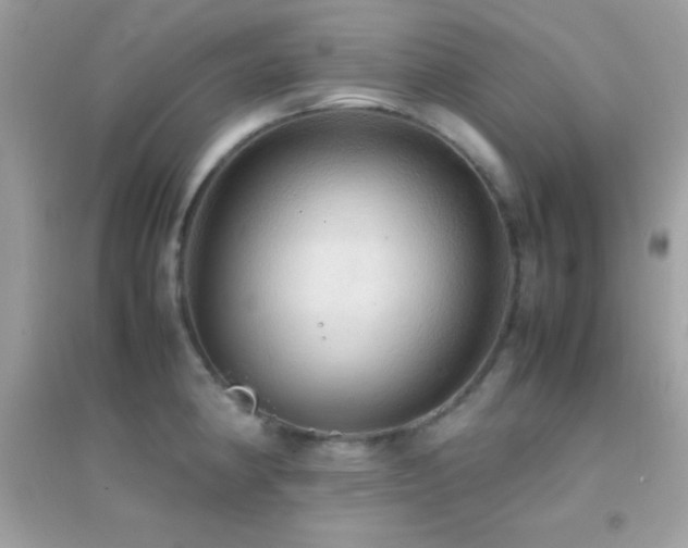 X0000095121190200712071233