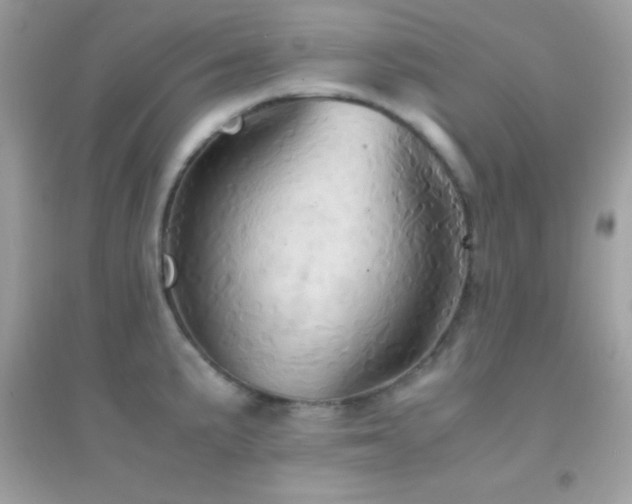 X0000095121191200712071233