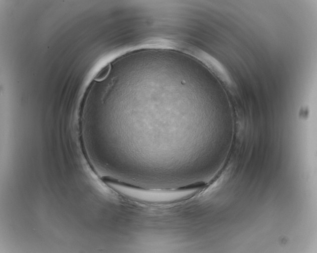 X0000095121192200712071233