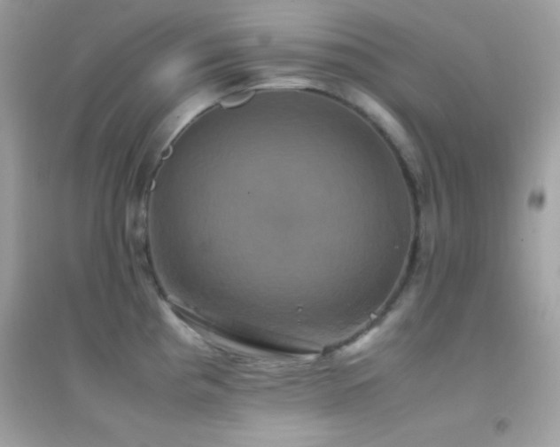 X0000095121193200712071233