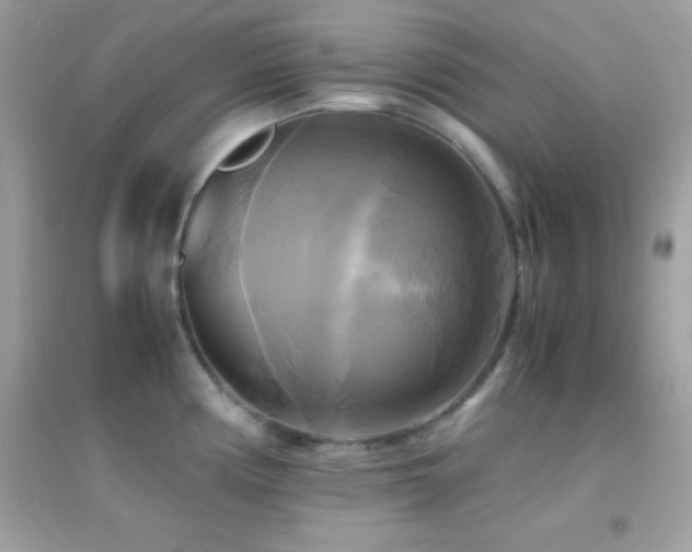 X0000095121194200712071233