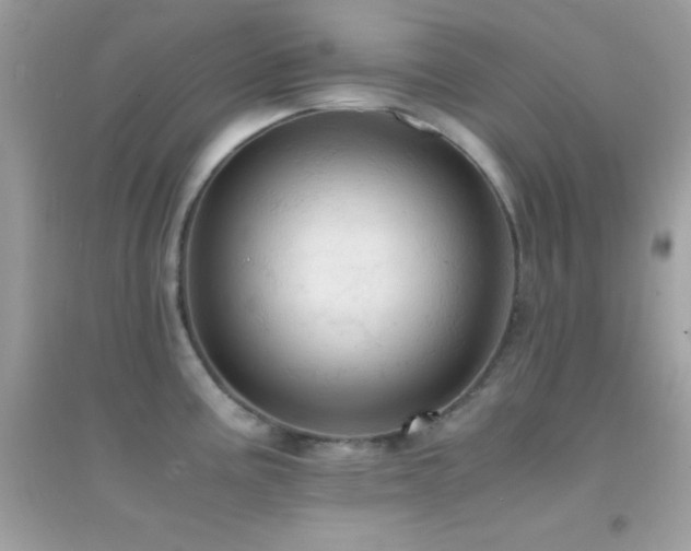 X0000095121195200712071233