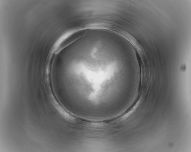 X0000095121196200712071233
