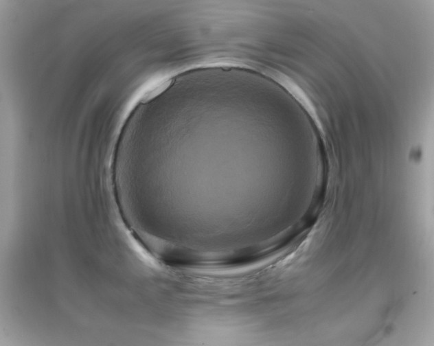 X0000095121197200712071233