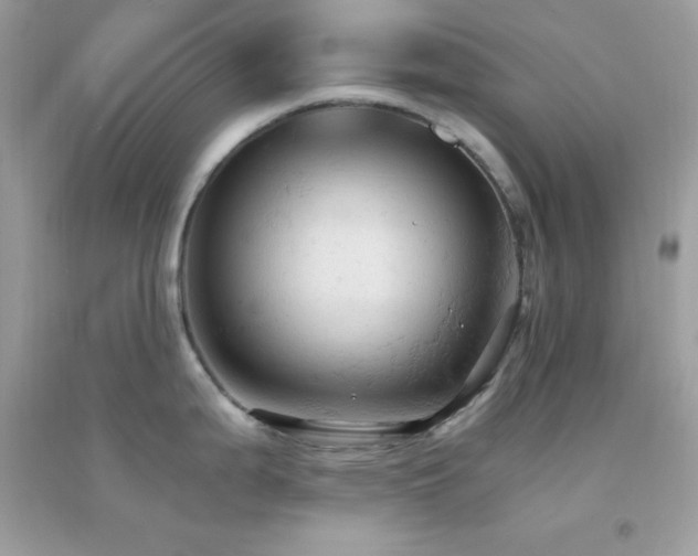 X0000095121199200712071233