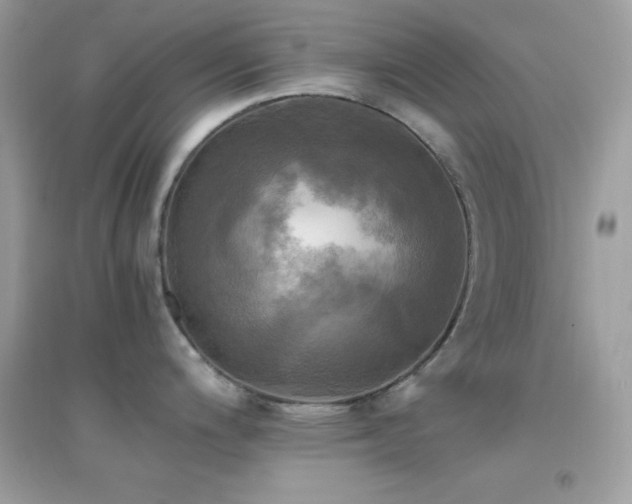 X0000095121200200712071233