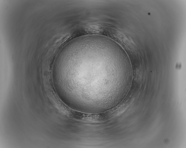 X0000095121201200712071232