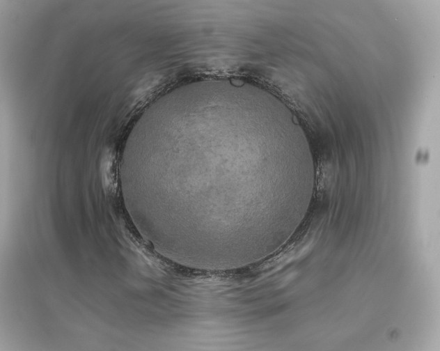 X0000095121202200712071232