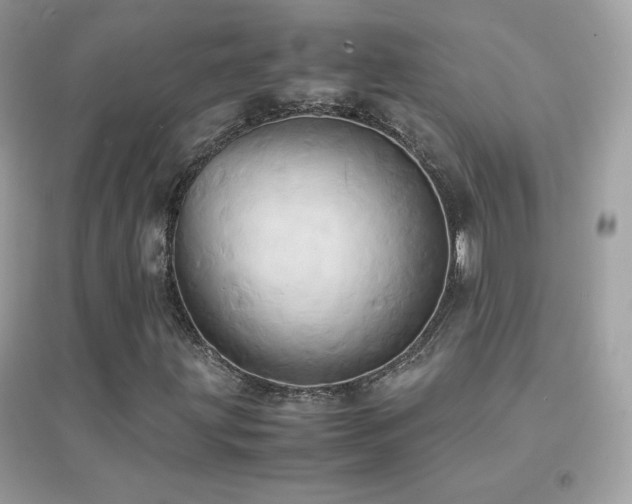 X0000095121203200712071232