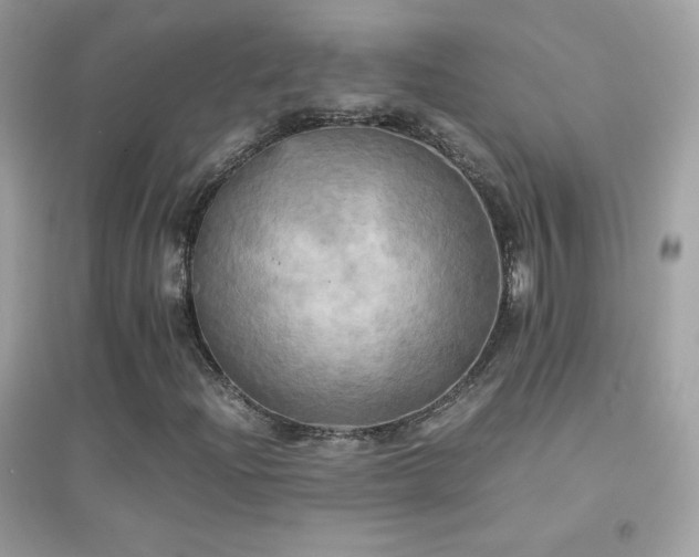 X0000095121204200712071232