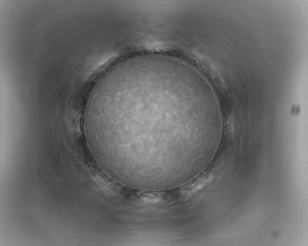 X0000095121205200712071232