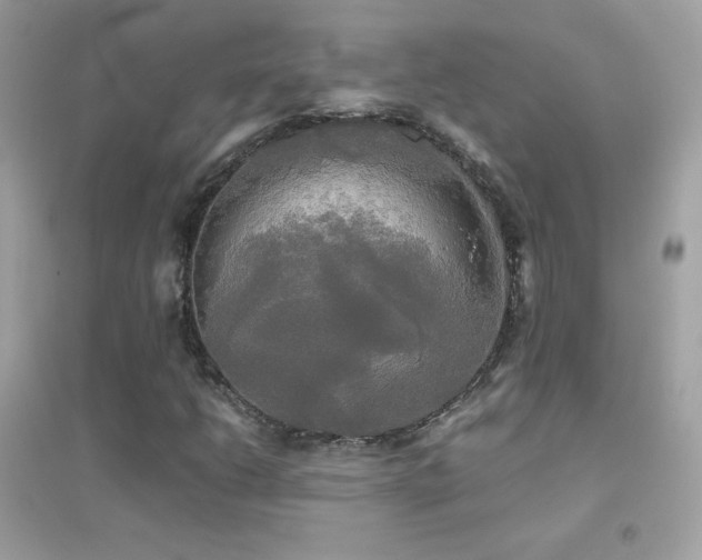 X0000095121206200712071232