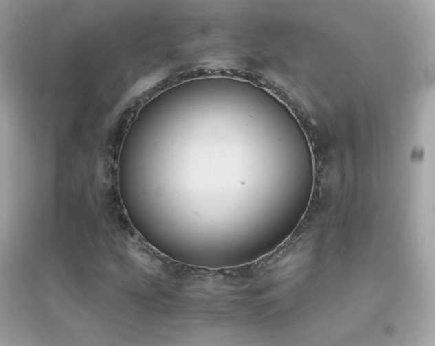 X0000095121207200712071232