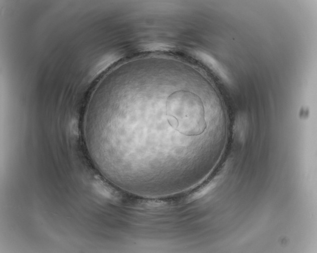 X0000095121209200712071232