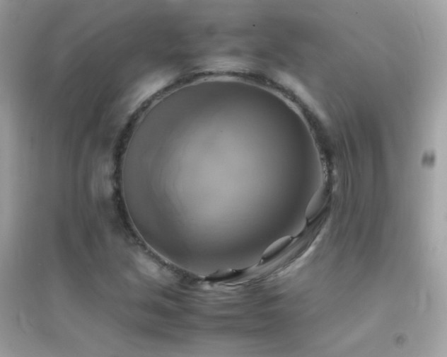 X0000095121213200712071232