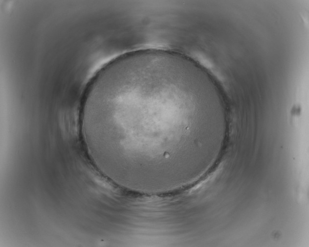 X0000095121214200712071232