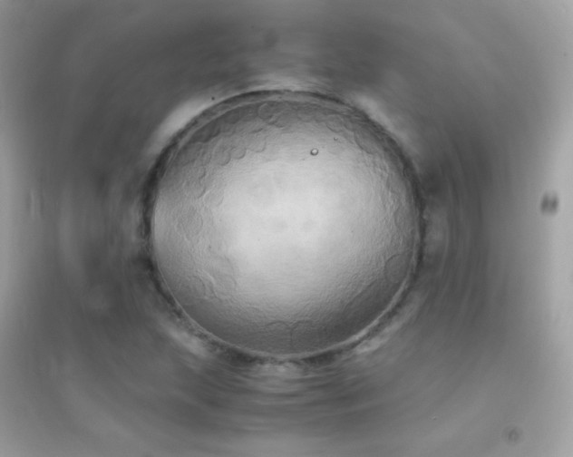 X0000095121215200712071232