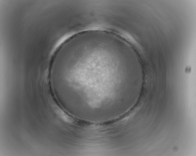 X0000095121216200712071232