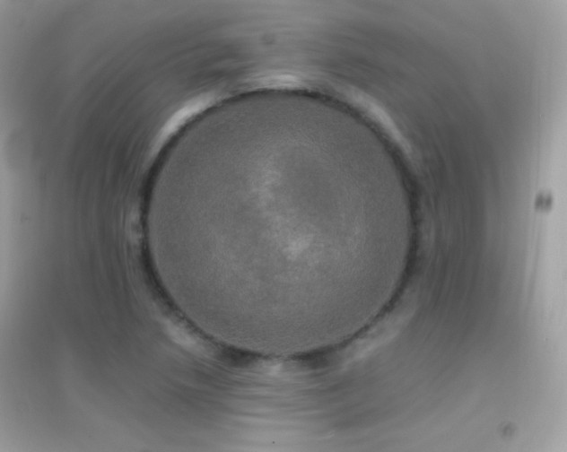 X0000095121218200712071232