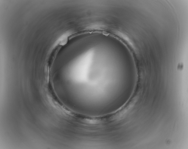 X0000095121219200712071232