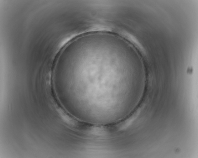 X0000095121220200712071232