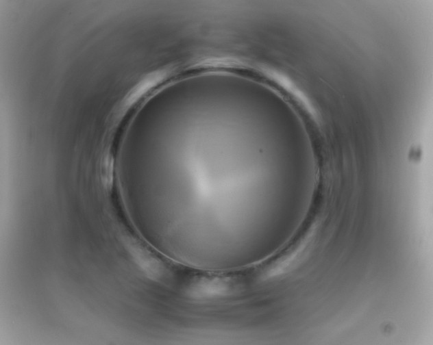 X0000095121221200712071232