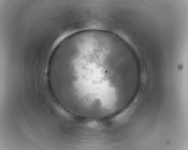 X0000095121222200712071232