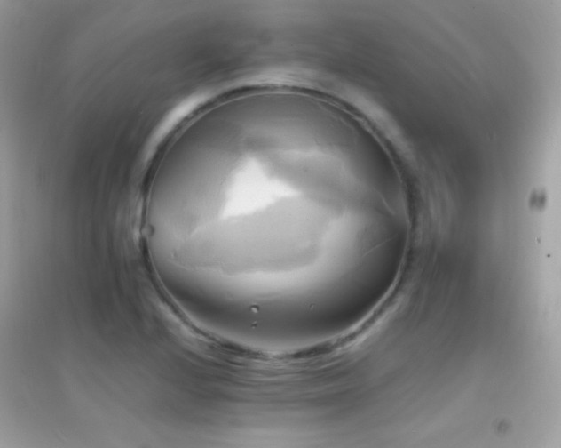 X0000095121224200712071232