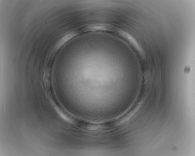 X0000095121225200712071232