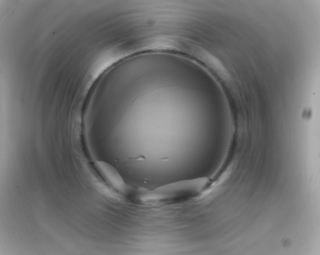 X0000095121226200712071232