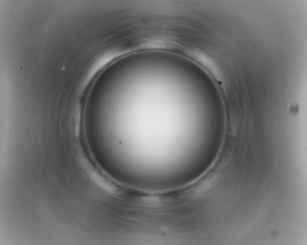X0000095121227200712071232