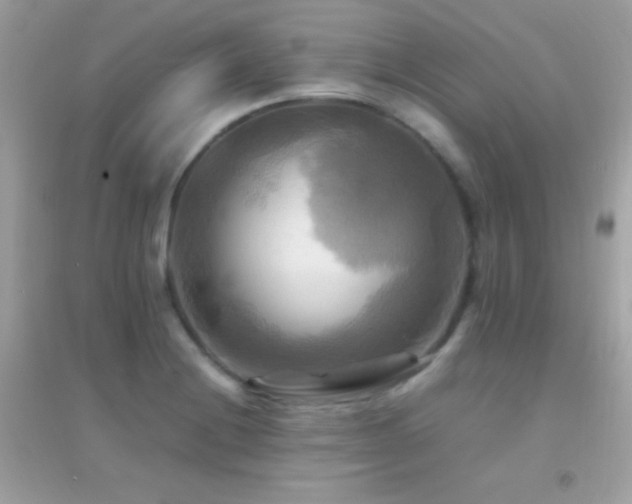 X0000095121228200712071232