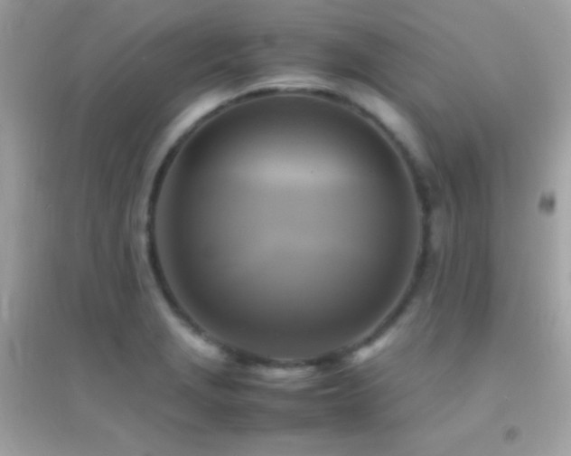 X0000095121229200712071232