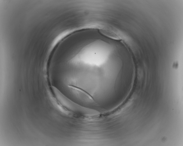 X0000095121230200712071232