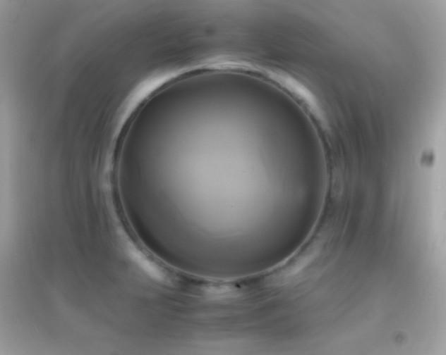 X0000095121231200712071232
