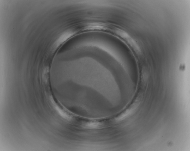 X0000095121233200712071233