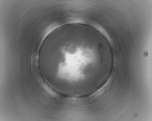 X0000095121234200712071233