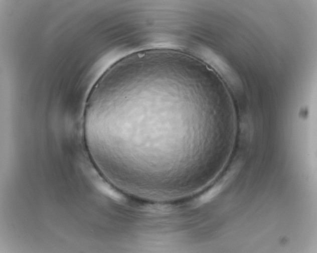 X0000095121236200712071233