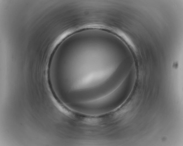X0000095121237200712071233